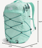Рюкзак TNF W Borealis 27L (CraterAqua BlueMoss)